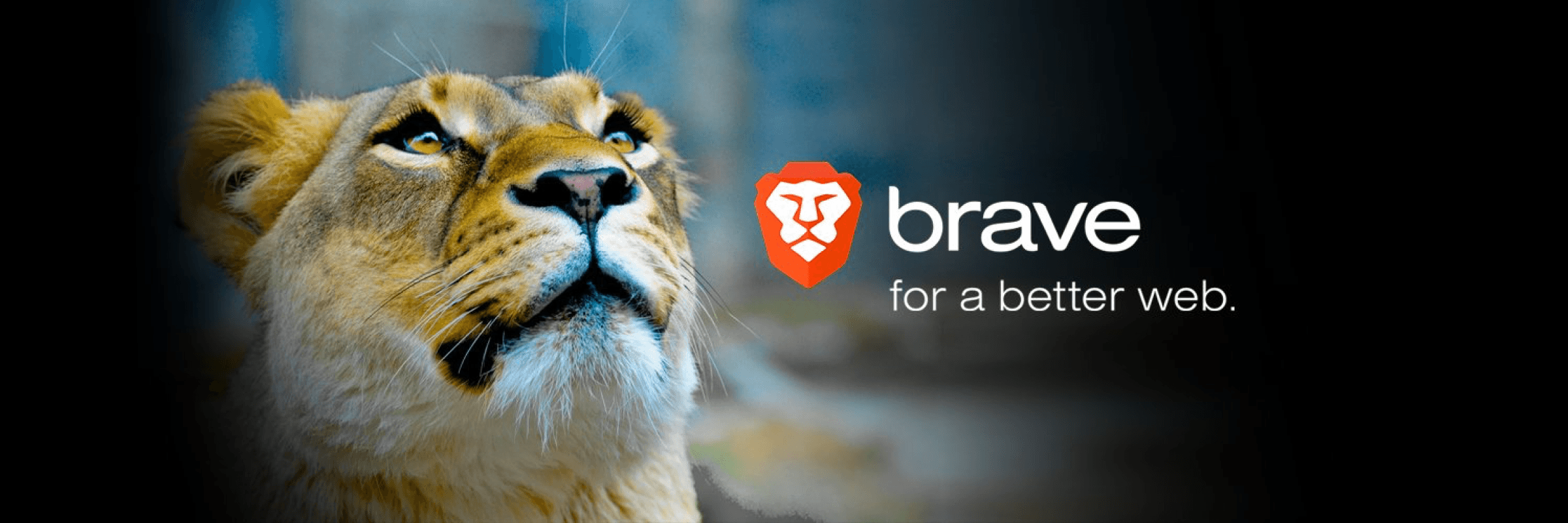 Brave banner